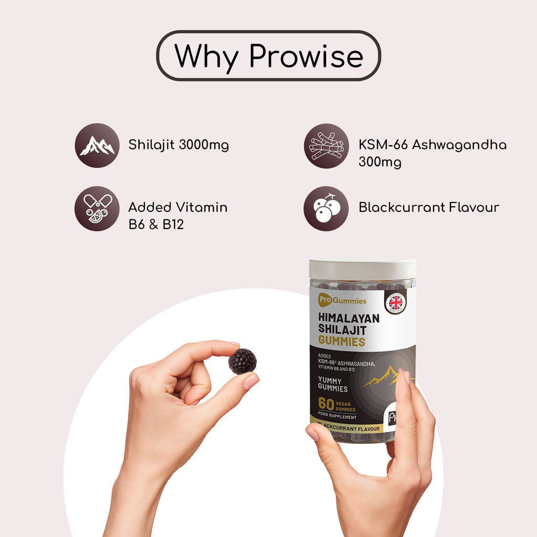 Prowise Himalayan Shilajit Gummies with KSM-66 Ashwagandha